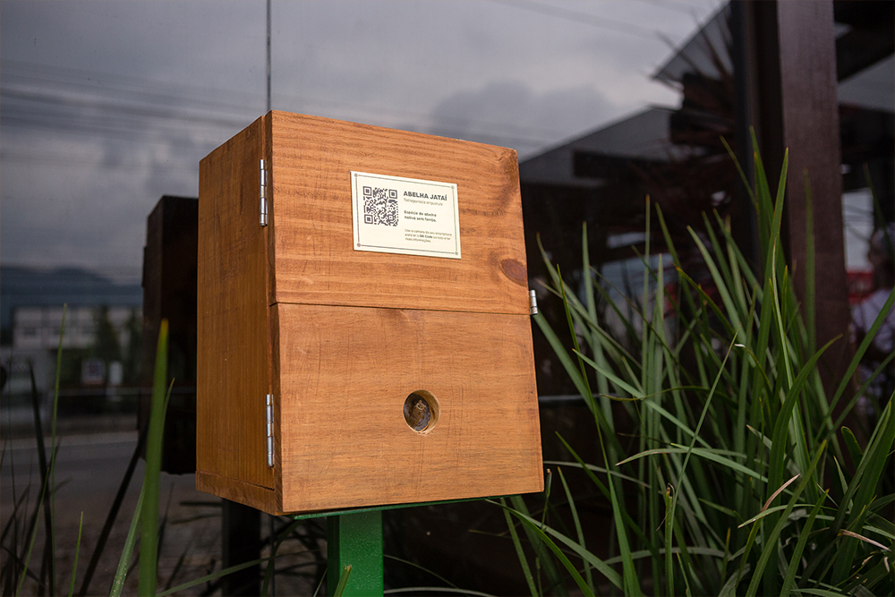 caixa-abelha-nativa
